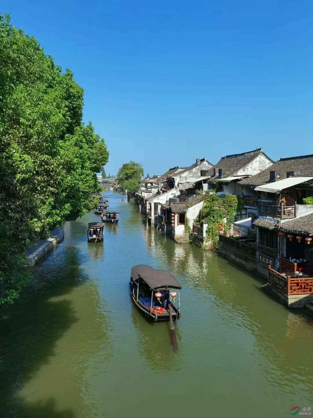 行尸走肉